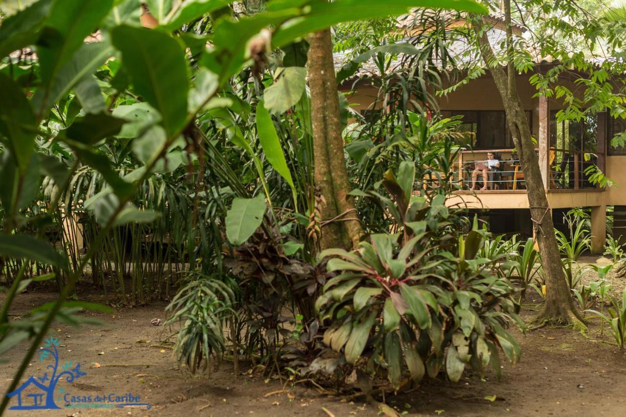 Casa Koda Beach Front 科克莱斯 外观 照片